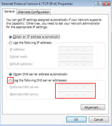 Windows Vista - Use the following DNS server addresses